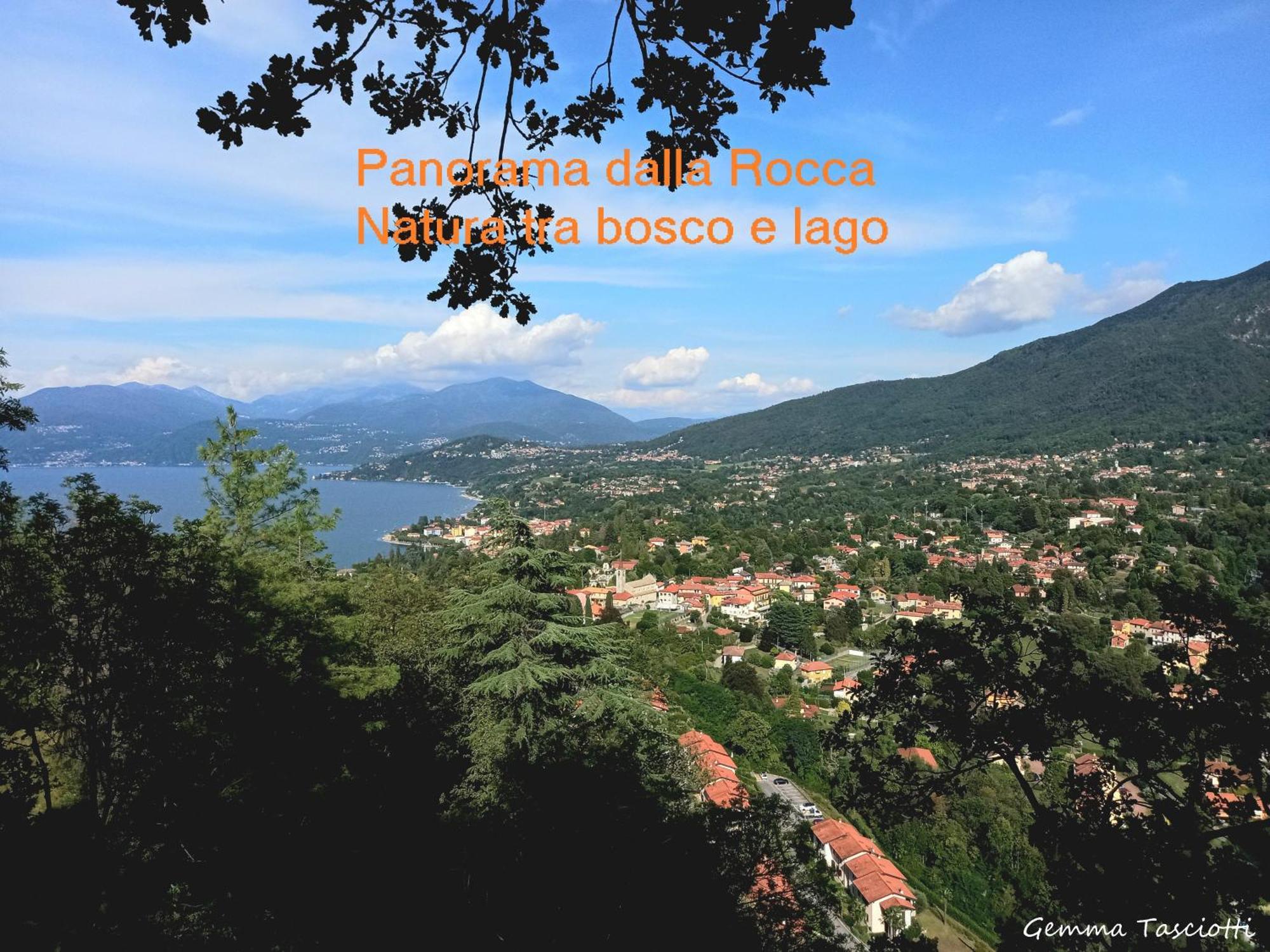 Natura Tra Bosco E Lago 카스텔베카나 외부 사진